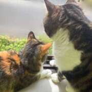 ヒメ日記 2025/10/14 06:00 投稿 かおる モアグループ小山人妻花壇