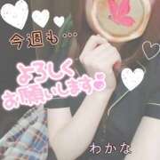 ヒメ日記 2024/12/23 17:48 投稿 わかな 治療院.LOVE 宇都宮店