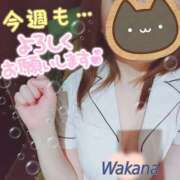 ヒメ日記 2025/01/14 17:57 投稿 わかな 治療院.LOVE 宇都宮店