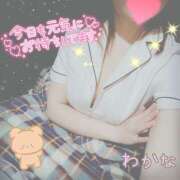 ヒメ日記 2025/01/30 17:57 投稿 わかな 治療院.LOVE 宇都宮店