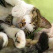 ヒメ日記 2025/02/22 20:57 投稿 わかな 治療院.LOVE 宇都宮店