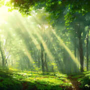 ヒメ日記 2025/05/31 20:36 投稿 わかな 治療院.LOVE 宇都宮店