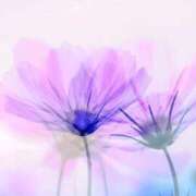 ヒメ日記 2025/10/13 21:54 投稿 わかな 治療院.LOVE 宇都宮店