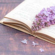 ヒメ日記 2025/10/24 19:21 投稿 わかな 治療院.LOVE 宇都宮店