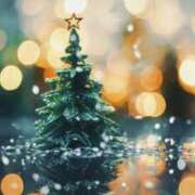 ヒメ日記 2025/12/24 20:03 投稿 わかな 治療院.LOVE 宇都宮店