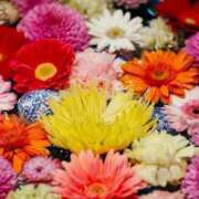 ヒメ日記 2025/05/25 13:16 投稿 ほづみ チェックイン素人専門大人女子