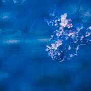 ほづみ 明日急遽❣️ チェックイン素人専門大人女子