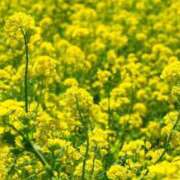 ほづみ すみません💦 チェックイン素人専門大人女子