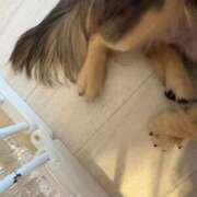 ヒメ日記 2025/05/15 20:26 投稿 安室 熟女の風俗最終章 新横浜店