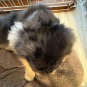 ヒメ日記 2025/05/16 21:06 投稿 安室 熟女の風俗最終章 新横浜店