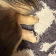 ヒメ日記 2025/05/20 22:06 投稿 安室 熟女の風俗最終章 新横浜店