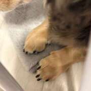 ヒメ日記 2025/05/21 19:23 投稿 安室 熟女の風俗最終章 新横浜店