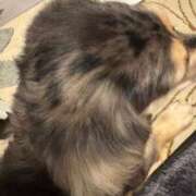 ヒメ日記 2025/05/22 21:36 投稿 安室 熟女の風俗最終章 新横浜店