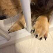 ヒメ日記 2025/05/23 20:47 投稿 安室 熟女の風俗最終章 新横浜店