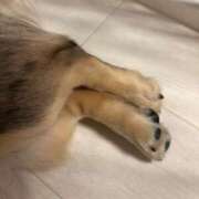 ヒメ日記 2025/06/03 20:16 投稿 安室 熟女の風俗最終章 新横浜店