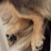 ヒメ日記 2025/06/04 20:06 投稿 安室 熟女の風俗最終章 新横浜店