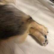 ヒメ日記 2025/06/06 20:56 投稿 安室 熟女の風俗最終章 新横浜店