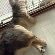 ヒメ日記 2025/06/10 19:20 投稿 安室 熟女の風俗最終章 新横浜店