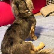 ヒメ日記 2025/09/11 18:07 投稿 安室 熟女の風俗最終章 新横浜店