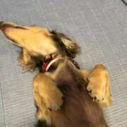 安室 久しぶりに 熟女の風俗最終章 新横浜店