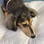 安室 今日は出勤♪ 熟女の風俗最終章 新横浜店