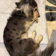 安室 今日は 熟女の風俗最終章 新横浜店