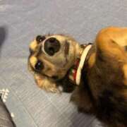 安室 本日も。 熟女の風俗最終章 新横浜店