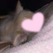 ヒメ日記 2025/12/10 16:35 投稿 りん ニューグランド