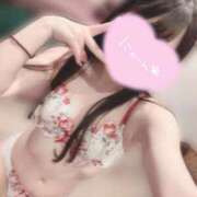 ヒメ日記 2026/01/26 15:43 投稿 りん ニューグランド