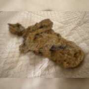 ヒメ日記 2024/12/10 23:42 投稿 Lay(新人) 排泄マニア