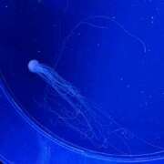 ヒメ日記 2024/12/11 02:53 投稿 Lay(新人) 排泄マニア