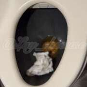 ヒメ日記 2025/04/17 08:30 投稿 Lay(新人) 排泄マニア