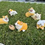 ヒメ日記 2025/04/28 10:58 投稿 Lay(新人) 排泄マニア