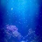 ヒメ日記 2025/05/12 15:12 投稿 Lay(新人) 排泄マニア