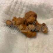 ヒメ日記 2025/05/21 08:15 投稿 Lay(新人) 排泄マニア