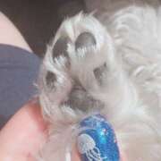 ヒメ日記 2025/05/22 20:54 投稿 Lay(新人) 排泄マニア