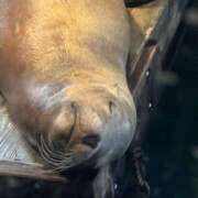 ヒメ日記 2025/06/06 11:34 投稿 Lay(新人) 排泄マニア