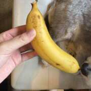 ヒメ日記 2025/06/16 11:14 投稿 Lay(新人) 排泄マニア