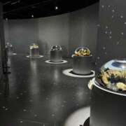 ヒメ日記 2025/06/26 01:55 投稿 Lay(新人) 排泄マニア