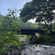 ヒメ日記 2025/07/13 06:53 投稿 Lay(新人) 排泄マニア