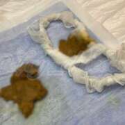 ヒメ日記 2025/07/24 11:39 投稿 Lay(新人) 排泄マニア