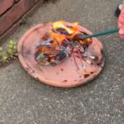 ヒメ日記 2025/08/14 19:51 投稿 Lay(新人) 排泄マニア