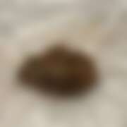 ヒメ日記 2025/08/31 22:00 投稿 Lay(新人) 排泄マニア