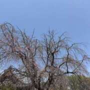 ヒメ日記 2025/10/13 22:00 投稿 Lay(新人) 排泄マニア