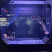 ヒメ日記 2025/10/14 22:00 投稿 Lay(新人) 排泄マニア