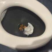 ヒメ日記 2025/10/21 22:00 投稿 Lay(新人) 排泄マニア