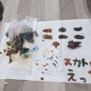 ヒメ日記 2025/10/24 22:00 投稿 Lay(新人) 排泄マニア