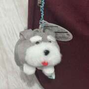 ヒメ日記 2025/10/25 23:49 投稿 Lay(新人) 排泄マニア