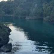 ヒメ日記 2025/10/30 20:35 投稿 Lay(新人) 排泄マニア