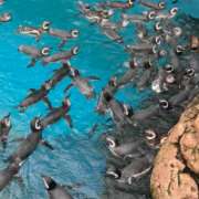 ヒメ日記 2025/11/05 23:00 投稿 Lay(新人) 排泄マニア